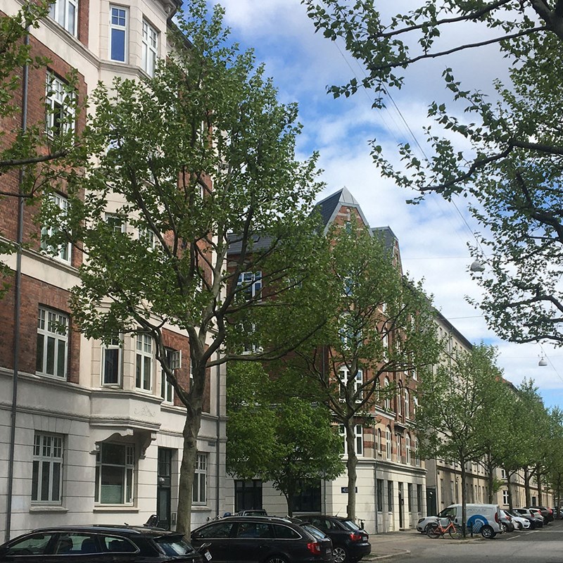 Vurderingsrapport